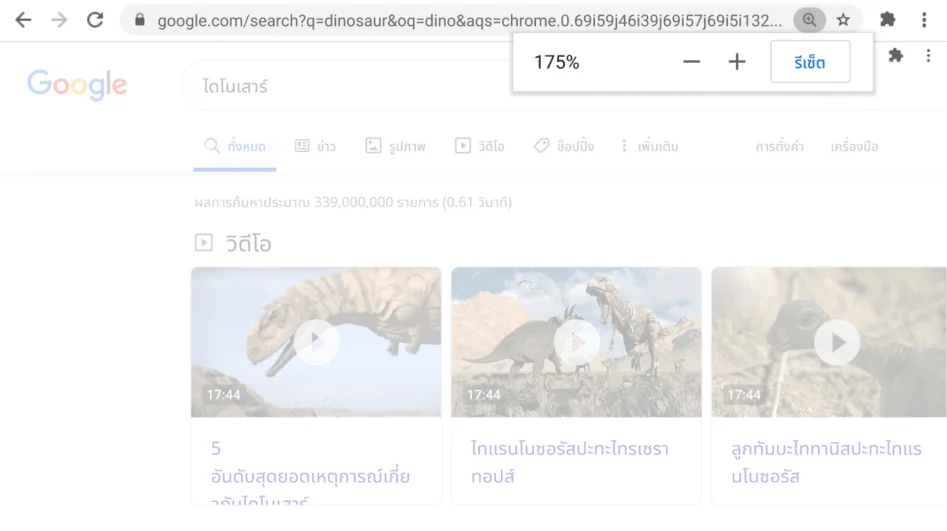 หน้าต่างเบราว์เซอร์ Chrome ที่เปิดหน้าเว็บโดยใช้ฟังก์ชัน 